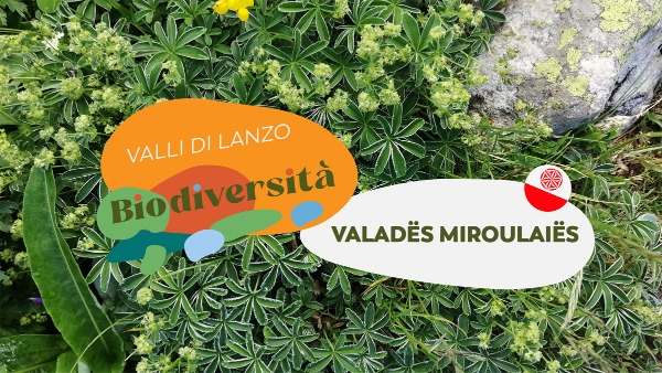 Biodiversità Valli di Lanzo - Biodiversità. Parola nota, ma cosa significa?